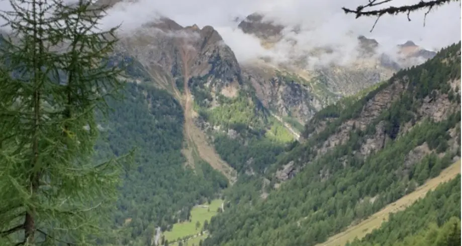 Peio, cercatore di funghi trovato morto nel bosco