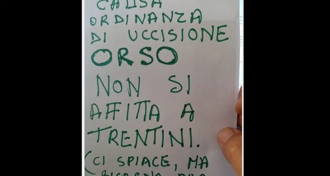 Castrato l'orso M49. E ora al sud boicottano il Trentino