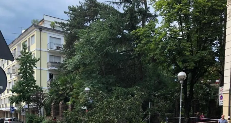 Via Roma, albero schiantato dal vento