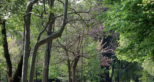 Donna violentata in parco a Milano