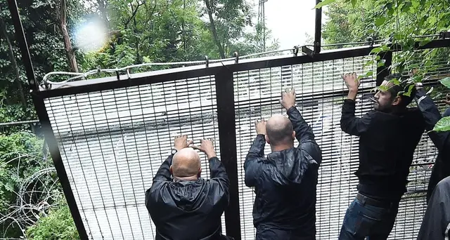 Tensioni al corteo No Tav in Val Susa