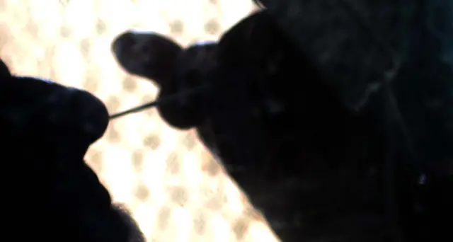 Coronavirus, salgono ancora contagi, 306 in 24 ore. 10 morti