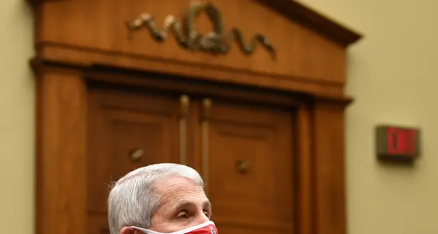 Fauci, 'lockdown in Europa su 95% attività, in America 50%'