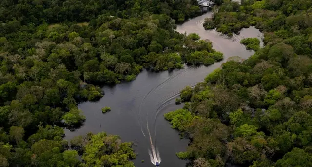 Amazzonia: ambasciatore Ue, Brasile adotti politiche chiare