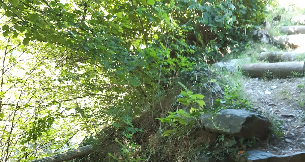 Ciclista vola nel dirupo in val Rendena, salvo 58enne di Sarentino