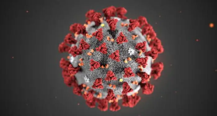 Studio provinciale sul Covid-19: pochi altoatesini a contatto col virus