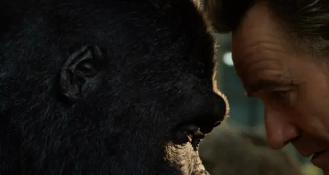 Rockwell gorilla e Jolie elefante per ode a resilienza
