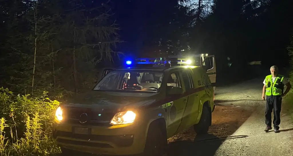 Incornato dal toro nella stalla, malgaro ferito alla coscia