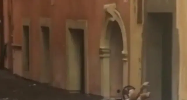 In salvo con acqua al collo,c'era muro di grandine