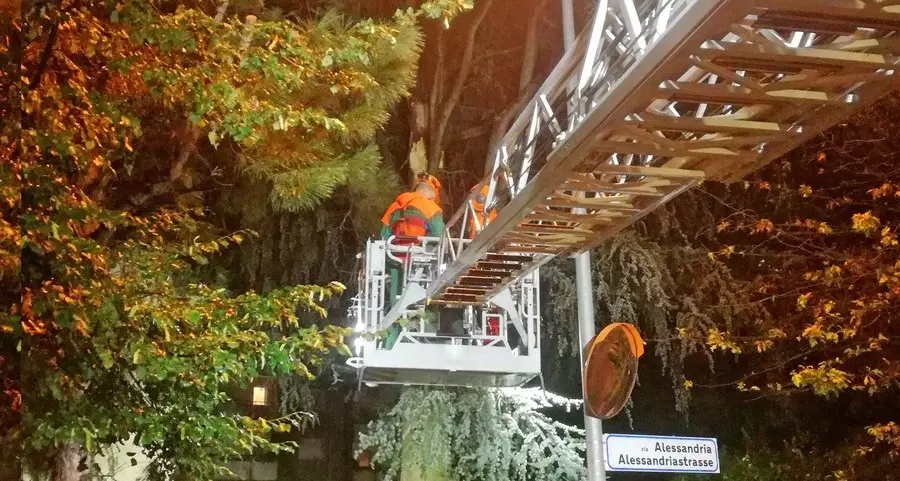 Cemento e radici poco estese le cause dei danni a Bolzano