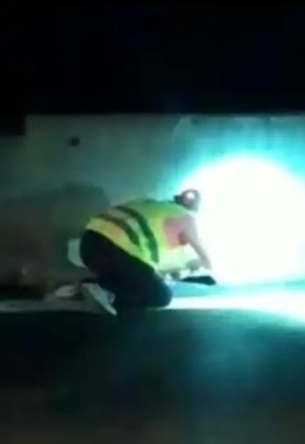 I poliziotti salvano il gattino che si era perso sulla Mebo