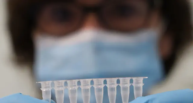 Negativi tamponi personale scuola Umbria