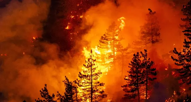 Trump lunedì in California per gli incendi