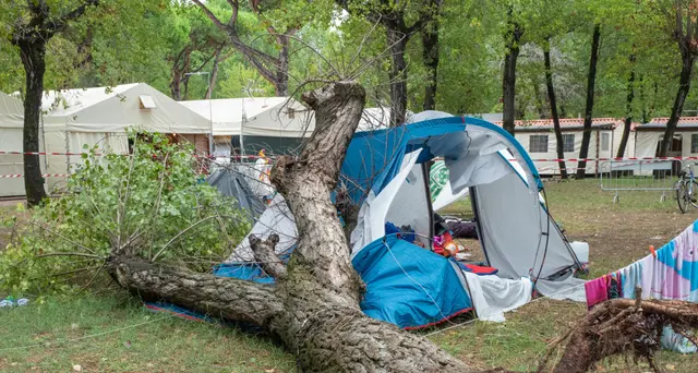 Albero su tenda, sequestrato camping della tragedia