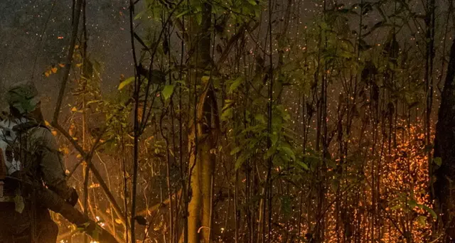 Pantanal in fiamme, distrutto 15% dell'intero bioma