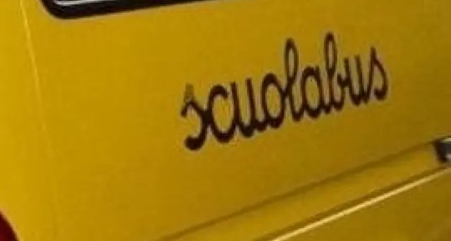 Scuolabus lo investe, morto bimbo di 4 anni