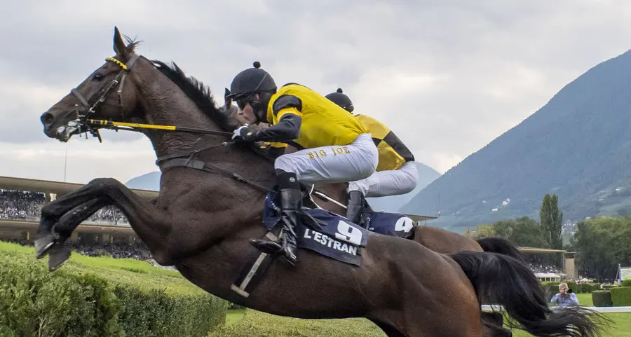 Macaire e Cottin, navigatore puntato sul “Merano”