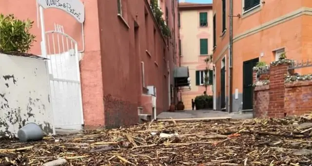 Maltempo in Liguria, massa detriti su spiaggia