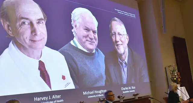 Nobel per la Medicina alla scoperta del virus dell'epatite C