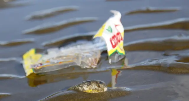 Almeno 14 milioni di tonnellate di plastica sotto l'Oceano