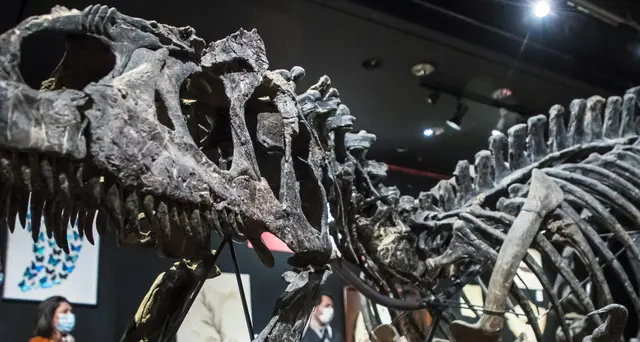 Aste: Parigi, scheletro di dinosauro venduto per oltre 3 mln