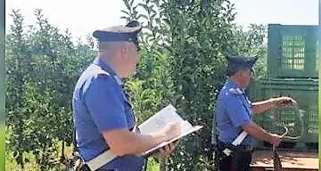 Positivi al Covid violano la quarantena: 25 denunciati in provincia di Bolzano