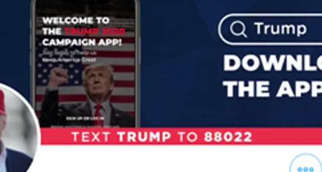 Hacker olandese indovina password e accede a Twitter Trump