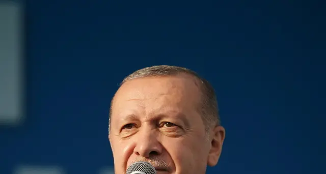 Erdogan, 'musulmani in Europa come ebrei sotto nazismo'