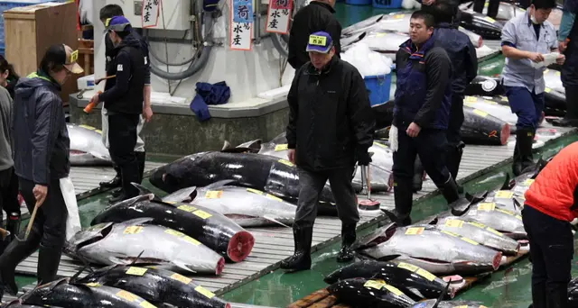 Tokyo, mercato pesce riapre ai turisti