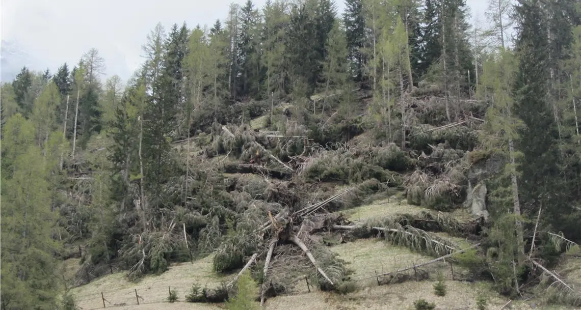 Badia, tornano le reti paravalanghe distrutte dalla tempesta Vaia