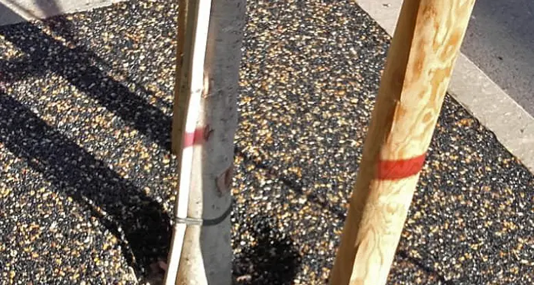 “Flexi-pavé” per salvare le radici degli alberi