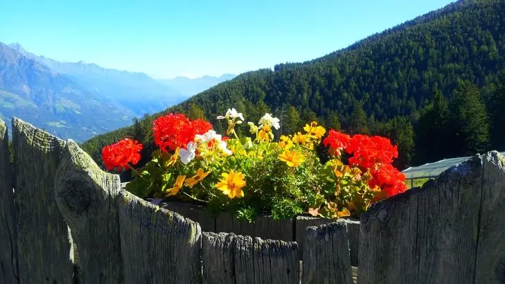 Marzoner Alm