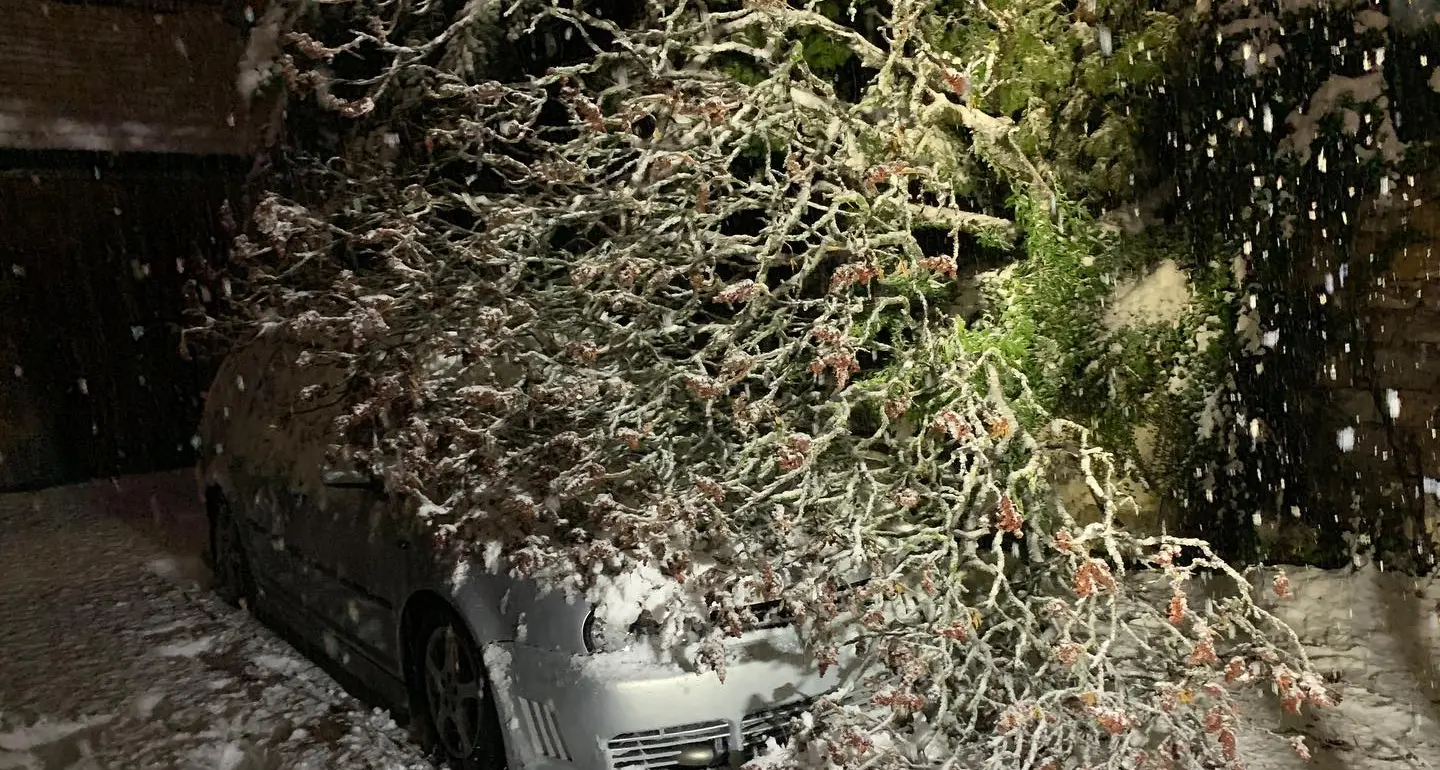 Maltempo, protezione civile provinciale in stato di preallarme (bravo)