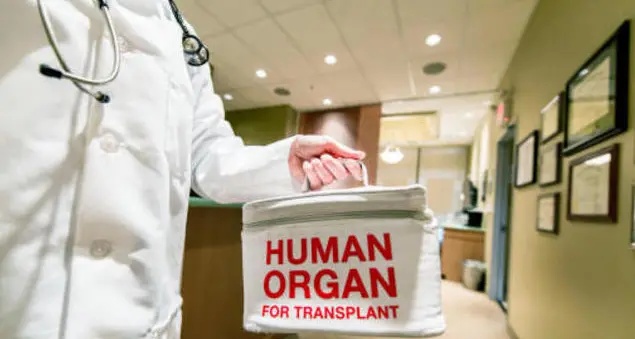Donazioni di organi e tessuti Merano prima in Italia