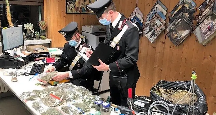 Oltre 8 etti di droga in casa, 25enne arrestato a Falzes