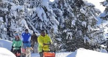 Con le slitte trainate dai cani sulle piste di passo delle Erbe
