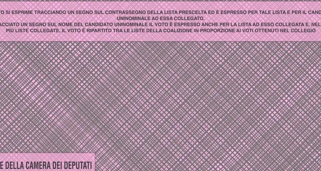 Foto a scheda mentre vota, denunciato