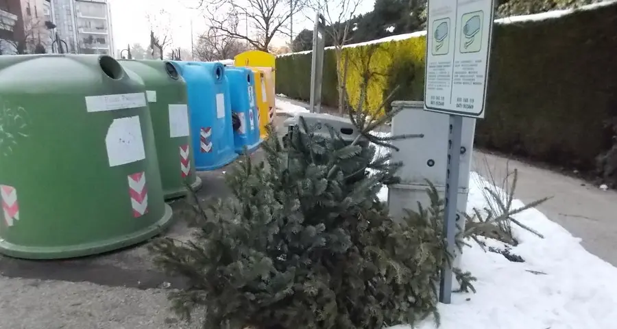 Come smaltire l’albero di Natale