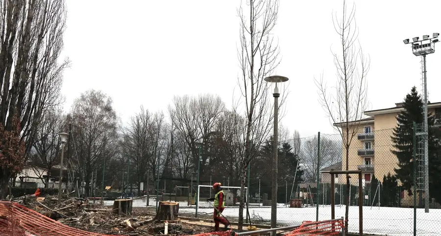 Maria Assunta, querce al posto dei pioppi