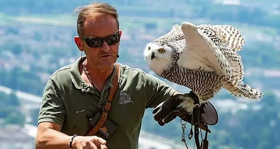 Avifauna, a Tirolo cure per 300 volatili l’anno