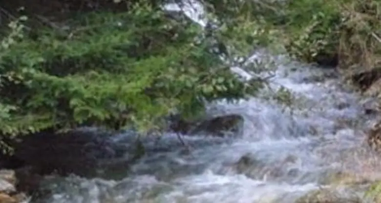 Il Rio di Vila diventa «Monumento naturale»