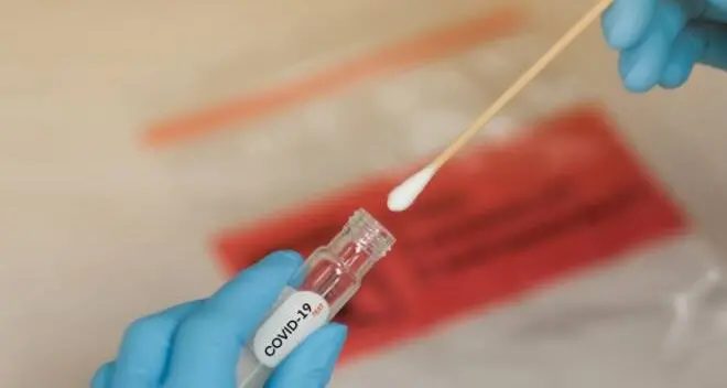 Covid, individuati altri 4 casi di variante sudafricana in Alto Adige