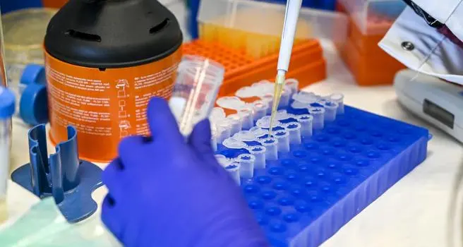 Coronavirus, altri 10 casi di variante sudafricana in Alto Adige
