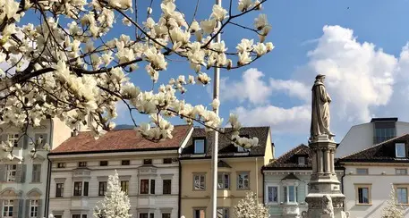 Trento e Bolzano, l'unione fa la forza