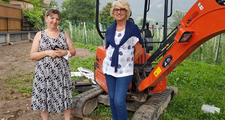 Vadena, raccolte le firme per salvare lo storico albero