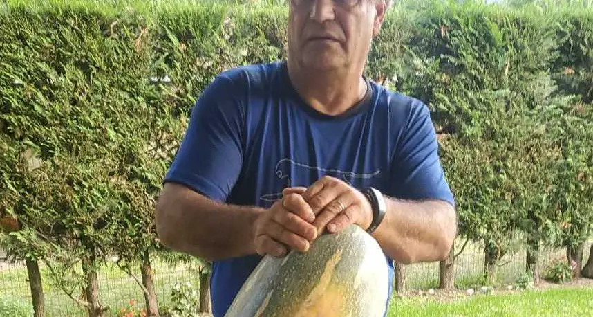Bronzolo, zucca di 48 chili nell’orto di Franco Di Martino