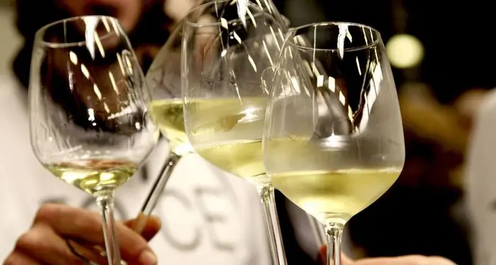 Per gli inglesi, i vini altoatesini sono tra i migliori del mondo