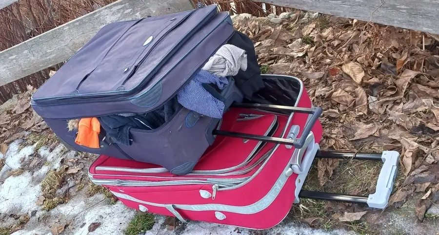 Trovate due valigie nel bosco gettate via dopo il furto