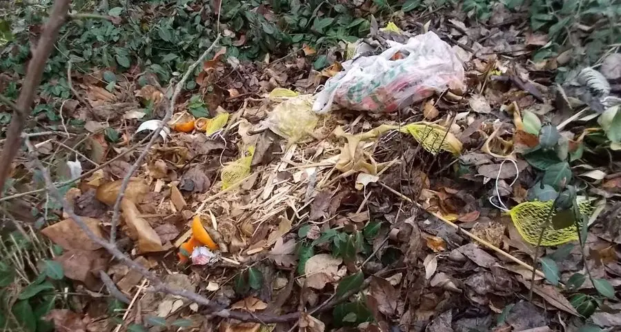 Compost, scattano i controlli a Laives: chi sbaglia perde l’agevolazione