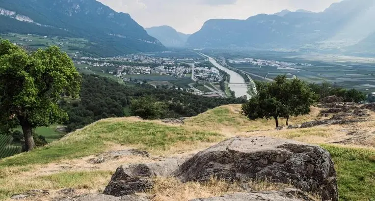 Bocconi avvelenati, allarme nella zona di Castelfeder